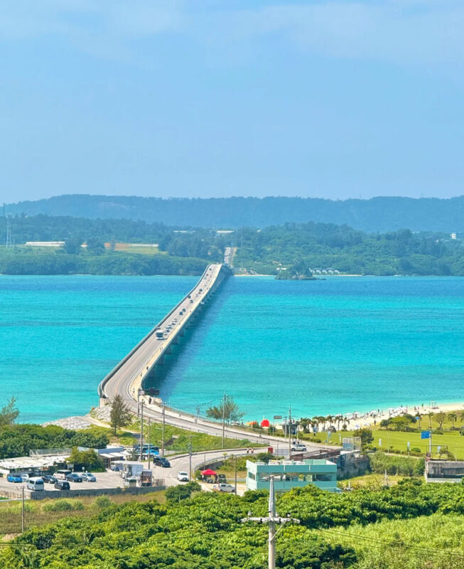 Okinawa Manza-mo, Kouri Island, and Churaumi Aquarium Day Trip | Includes Special Shrimp and Rice Lunch - Is the Starting Price Good Value?