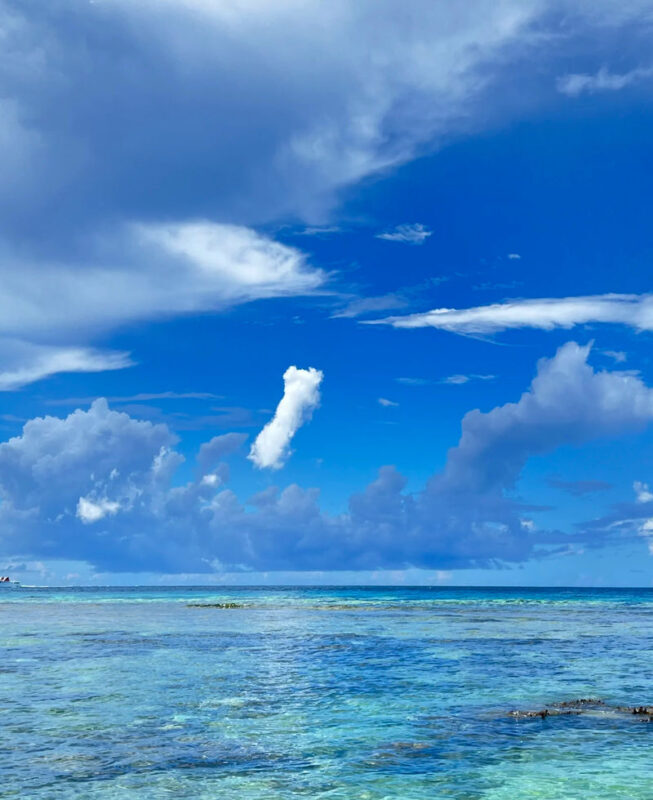 Okinawa Manza-mo, Kouri Island, and Churaumi Aquarium Day Trip | Includes Special Shrimp and Rice Lunch - Practical Details Before You Book