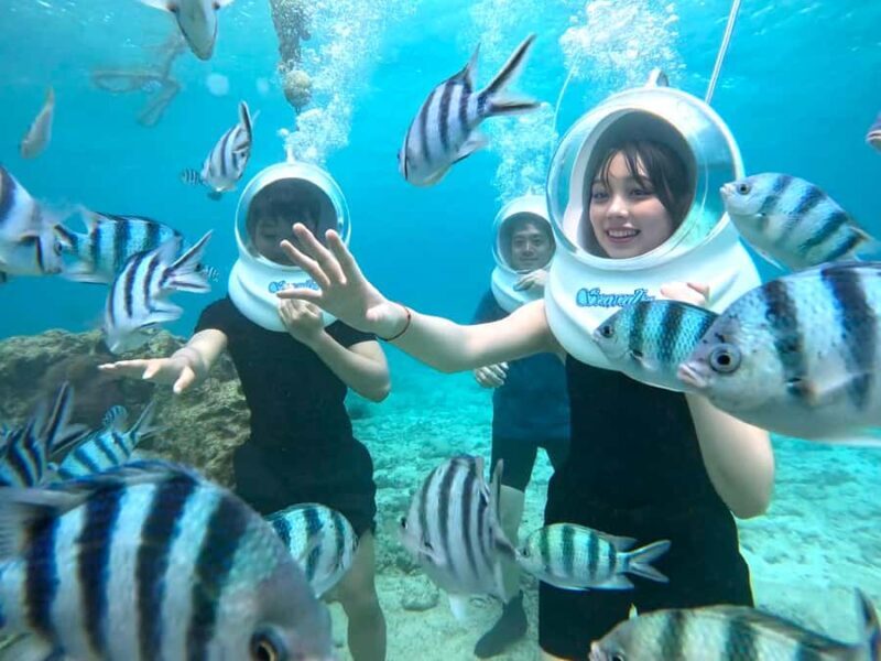 Okinawa MarinSportsSeaWalk in Onna village (free benefits) - How the Experience Unfolds — Step by Step