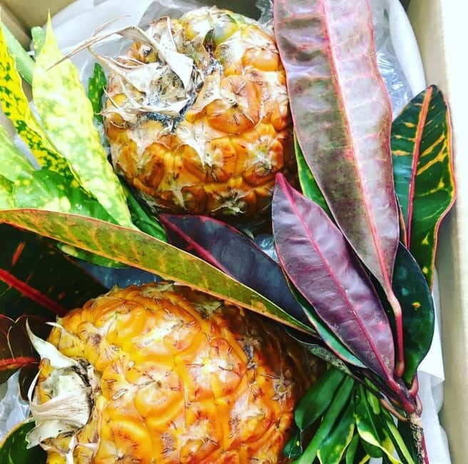 Okinawa: Market Tour and Cooking Class with a Chef - Who Should Sign Up?