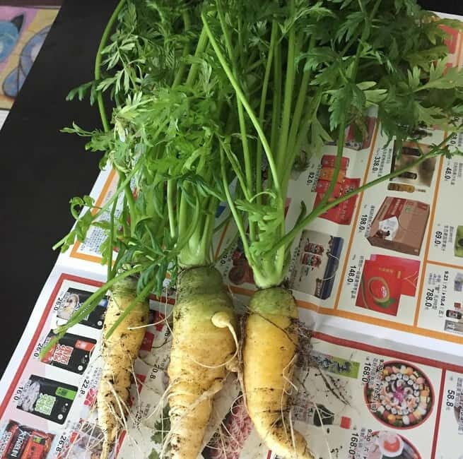 Okinawa: Market Tour and Cooking Class with a Chef - Who is This Tour Best For?