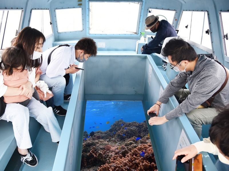 Okinawa: Miibaru Beach Glass Bottom Boat Tour Experience - A reef trip without getting in the water