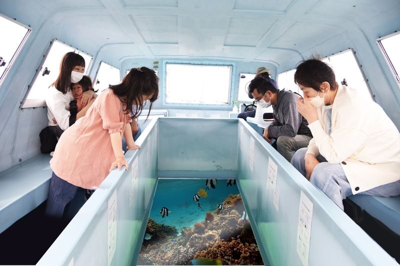 Okinawa: Miibaru Beach Glass Bottom Boat Tour Experience - Weather, sea conditions, and comfort