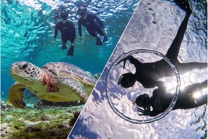 Okinawa: Miyako Island Sea Turtle and Coral Reef Snorkeling Experience - The photos: a genuine extra, with limits