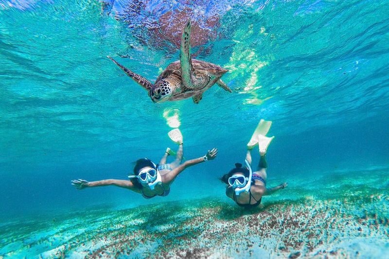 Okinawa: Miyako Island Sea Turtle and Coral Reef Snorkeling Experience - What to bring, wear, and keep in mind