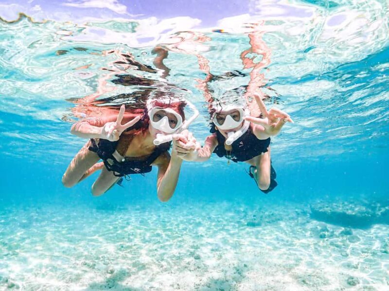 Okinawa Miyakojima: Snorkel Tour with Sea Turtle & Nemo - Final Thoughts