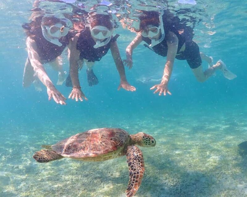 Okinawa Miyakojima: Snorkel Tour with Sea Turtle & Nemo - FAQs
