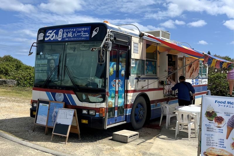 Okinawa: Naminoue Shrine & Cape Zanpa Lighthouse & American Village & Southeast Botanical Gardens Illumination Show Day Trip (Departure at Noon) - Southeast Botanical Gardens after dark