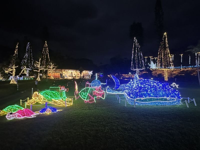 Okinawa: Naminoue Shrine & Cape Zanpa Lighthouse & American Village & Southeast Botanical Gardens Illumination Show Day Trip (Departure at Noon) - Who will enjoy this day trip?