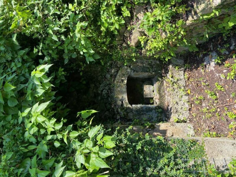 Okinawa: Nanjo Ozato Area Spiritual and Utaki Hike - Good To Know