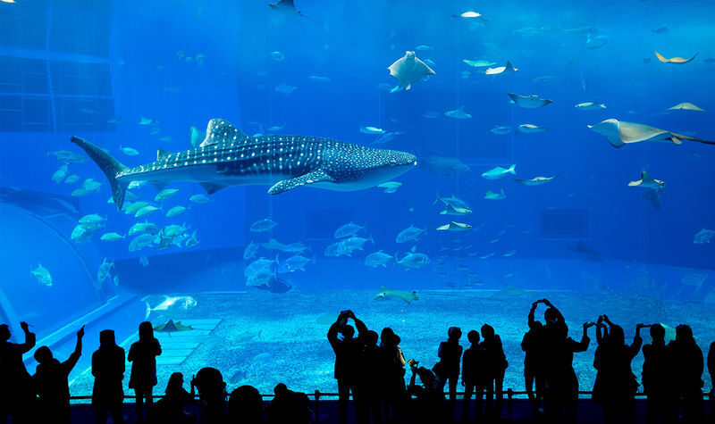 Okinawa North/South Day Trip | Churaumi Aquarium & American Village | Okinawa Culture Kingdom & Senaga Island | Optional Northern 9-Person Small Group & Optional Hotel Transfer | Chinese Service | Tickets Available - The southern route: viewpoints, cave and Ryukyu culture