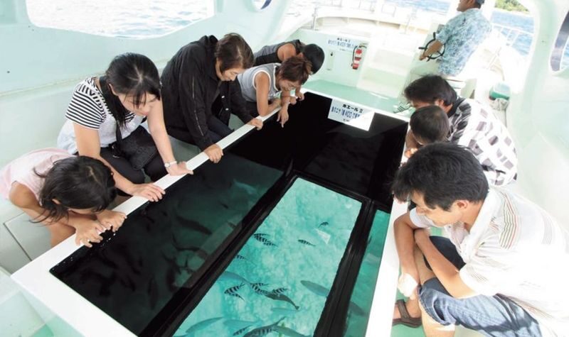 Okinawa North/South Day Trip | Churaumi Aquarium & American Village | Okinawa Culture Kingdom & Senaga Island | Optional Northern 9-Person Small Group & Optional Hotel Transfer | Chinese Service | Tickets Available - Should you book this Okinawa day trip?