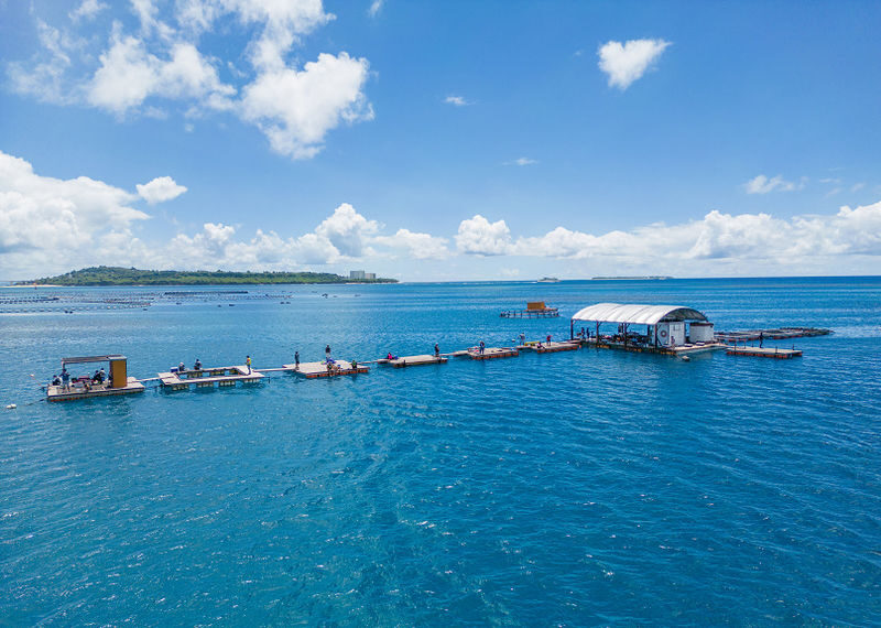 Okinawa | Northern Okinawa Raft Fishing - Spacious Deck, Seasickness-Free - Family Friendly (Near Okinawa Churaumi Aquarium and JUNGLIA) - Fishing on a raft, not a rocking boat