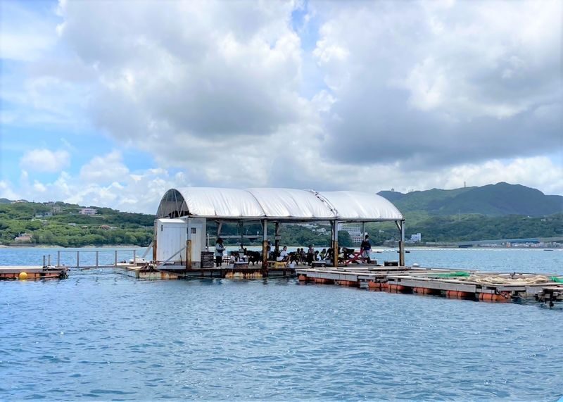 Okinawa | Northern Okinawa Raft Fishing - Spacious Deck, Seasickness-Free - Family Friendly (Near Okinawa Churaumi Aquarium and JUNGLIA) - Getting from Toguchi Port to the raft