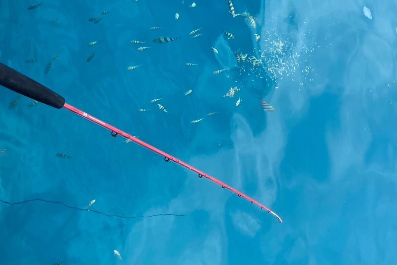 Okinawa | Northern Okinawa Raft Fishing - Spacious Deck, Seasickness-Free - Family Friendly (Near Okinawa Churaumi Aquarium and JUNGLIA) - Weather, timing, and the value of a flexible plan