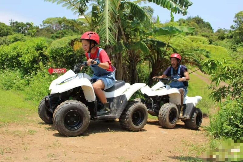 Okinawa Off-Road Adventure: Guided Quad Bike Tour - Who Will Love This Tour?