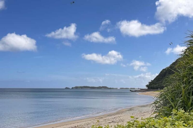 Okinawa: Ogimi Village Guided Tour (Takazato Village) - Practical Details and Considerations