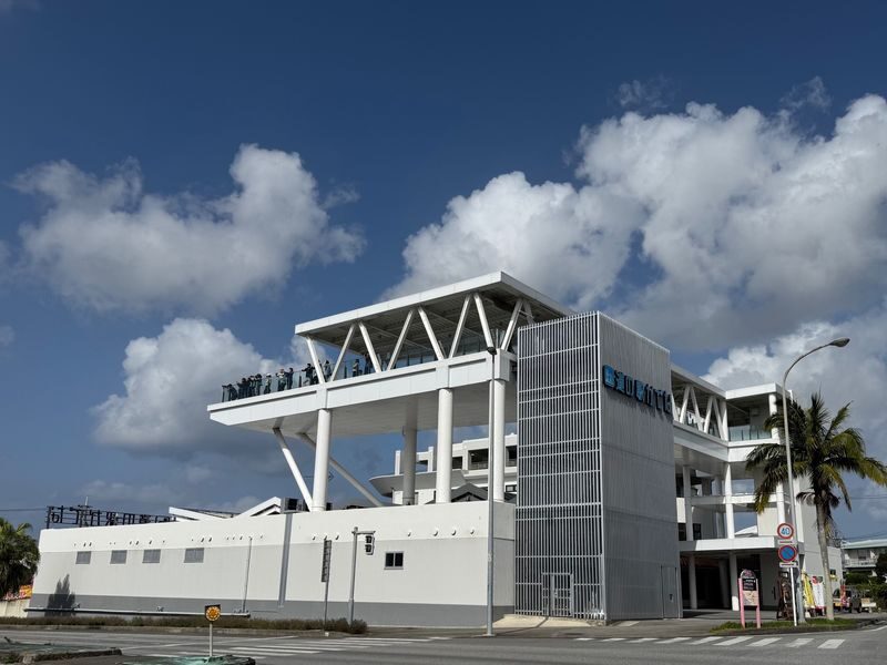 Okinawa One-Day Tour: Northern Secrets / Southern Charm / Central Shopping (Multiple Routes Available) - The other routes: choose by geography, not just price
