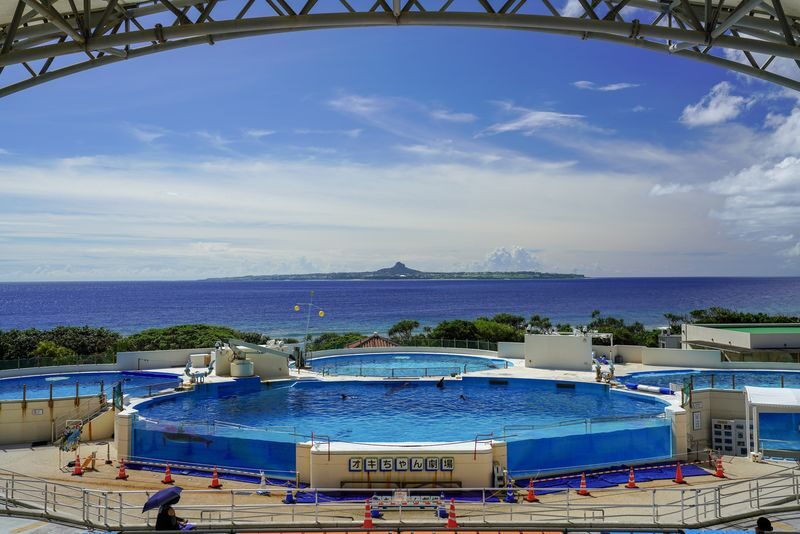 Okinawa One-Day Tour: Northern Secrets / Southern Charm / Central Shopping (Multiple Routes Available) - Guides and language: helpful service, but check your expectations