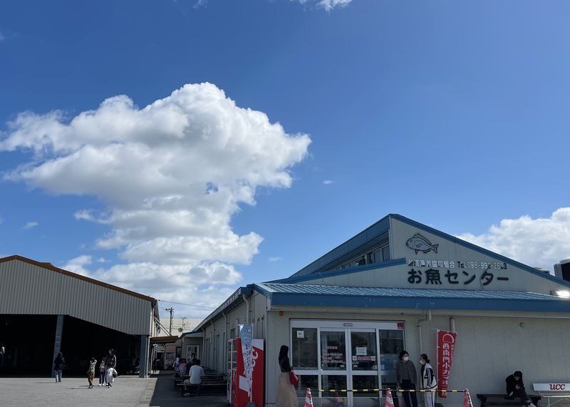Okinawa One-Day Tour: Northern Secrets / Southern Charm / Central Shopping (Multiple Routes Available) - What the price covers, and what it does not