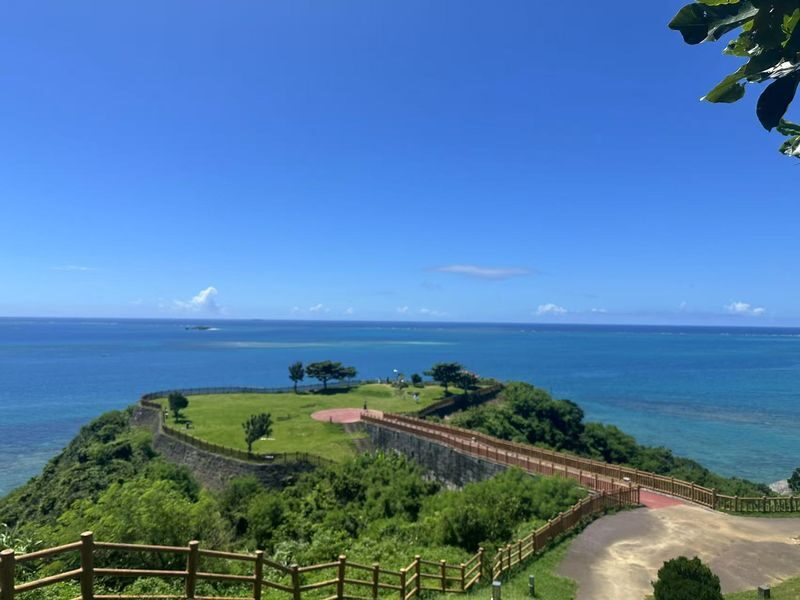 Okinawa One-Day Tour: Northern Secrets / Southern Charm / Central Shopping (Multiple Routes Available) - Who should book this Okinawa day tour?