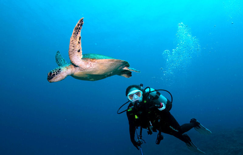 Okinawa: Onna Blue Cave Snorkeling & Diving Experience | Cantonese Instructor - Photos, equipment, and the real cost