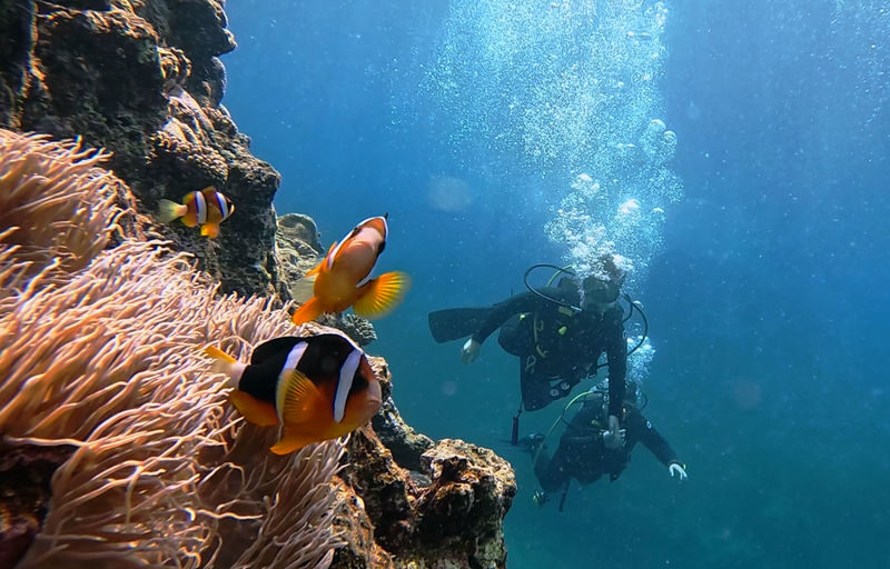 Okinawa: Onna Blue Cave Snorkeling & Diving Experience | Cantonese Instructor - Weather, crowds, and practical planning
