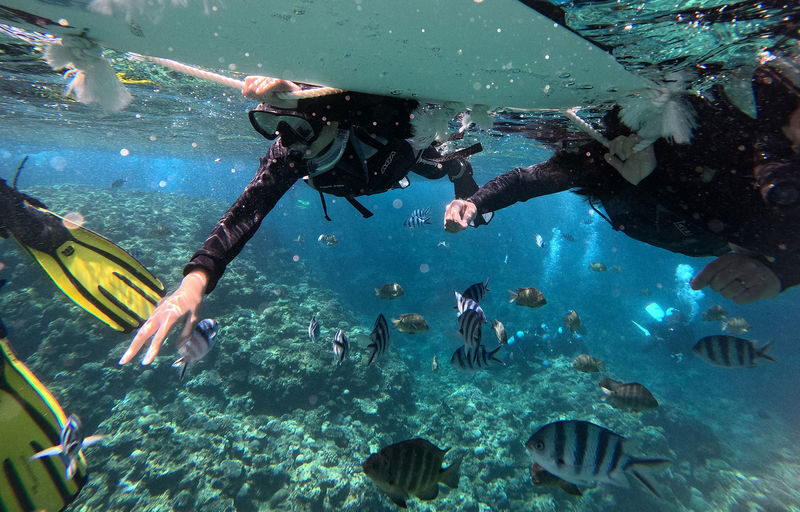 Okinawa: Onna Blue Cave Snorkeling & Diving Experience | Cantonese Instructor - Who will get the most from this trip