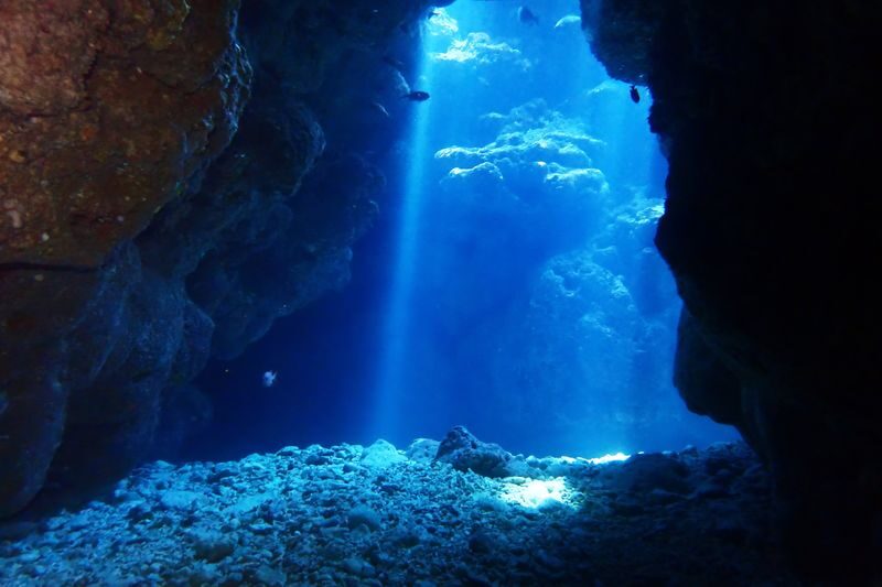 Okinawa Onna Blue Cave Snorkeling or Beginner Scuba Diving - The Blue Cave is the main event