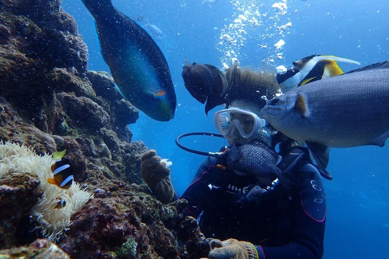Okinawa Onna Blue Cave Snorkeling or Beginner Scuba Diving - A beginner-friendly outing, with limits
