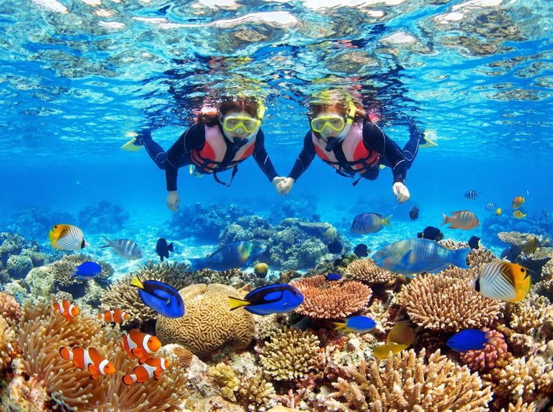 Okinawa Onna Village Blue Cave Snorkeling Experience (includes free GoPro rental) - A short boat ride from Onna Village