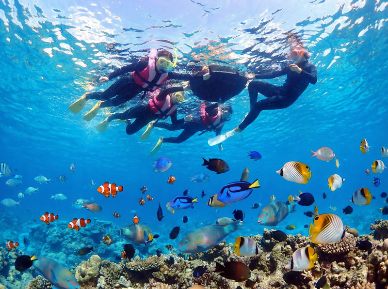 Okinawa Onna Village Blue Cave Snorkeling Experience (includes free GoPro rental) - Health and eligibility rules are strict