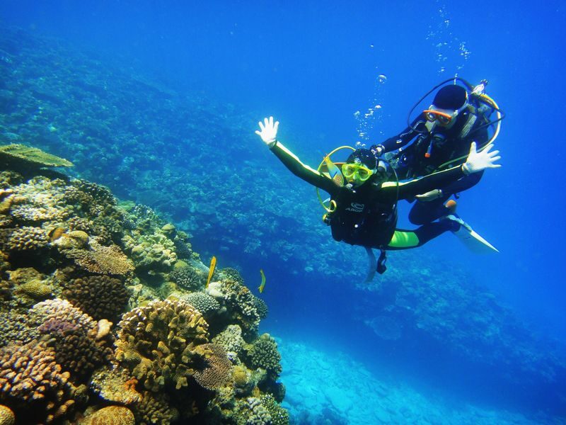 Okinawa Onna Village Blue Cave Snorkeling & Scuba Diving Experience - At a glance