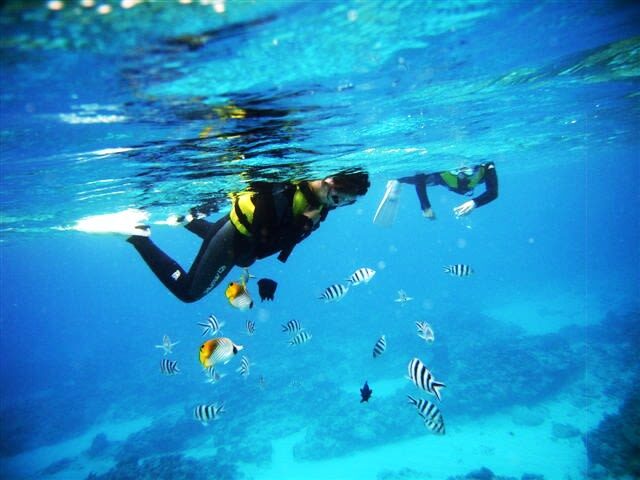 Okinawa Onna Village Blue Cave Snorkeling & Scuba Diving Experience - Why the Blue Cave is worth seeing