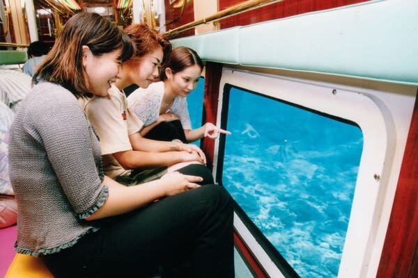 Okinawa Orca Underwater Boat & Teppanyaki Lunch Small Group Tour - Start at Naha Port, not at the lunch table