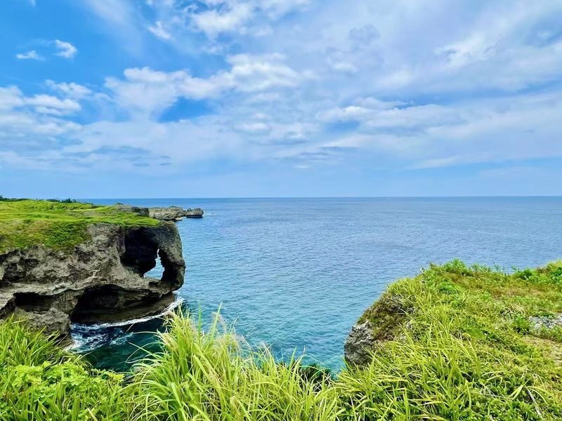 Okinawa: Private Chartered Car/Junglia Jurassic Park/Half-Day Tour/One-Day Tour - A private car for Okinawa’s long distances