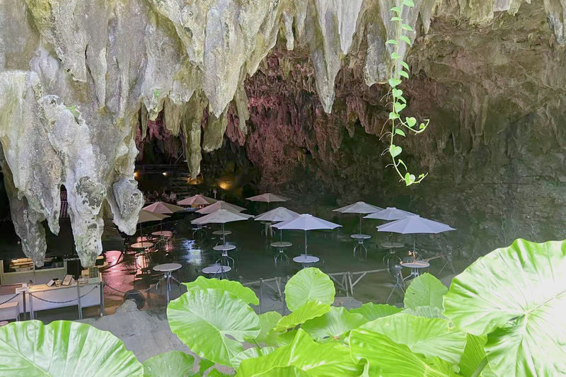 Okinawa: Private Chartered Car/Junglia Jurassic Park/Half-Day Tour/One-Day Tour - The Junglia question to settle before booking