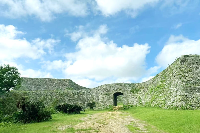 Okinawa: Private Chartered Car/Junglia Jurassic Park/Half-Day Tour/One-Day Tour - Choosing a charter length and vehicle