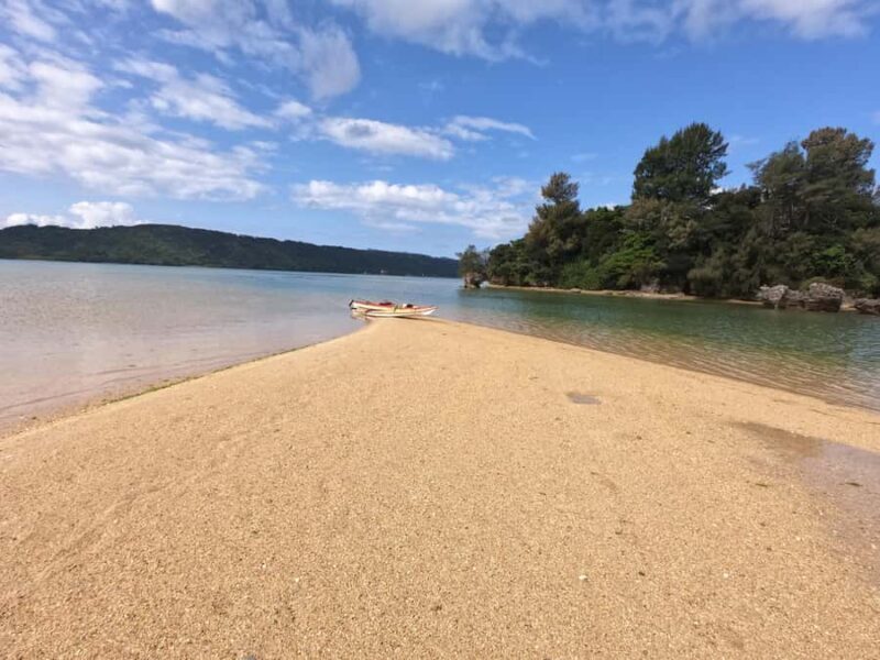 Okinawa: Private Full Circle Island Kayak Tour in English - Good To Know