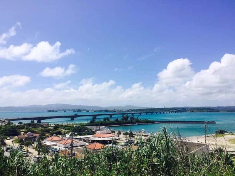 Okinawa: Private Kouri Island, Aquarium & Castle Guided Tour - Good To Know