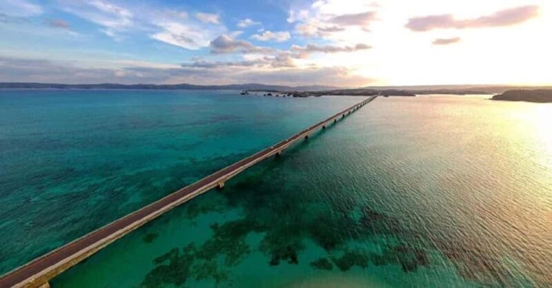 Okinawa: Private Kouri Island, Aquarium & Castle Guided Tour - What Reviewers Say