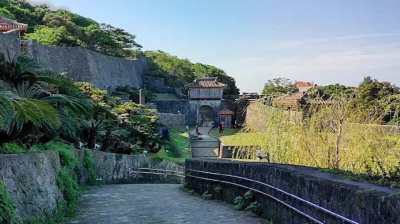 Okinawa: Private Tour with Driver and Guide - An In-Depth Look at the Okinawa Private Tour