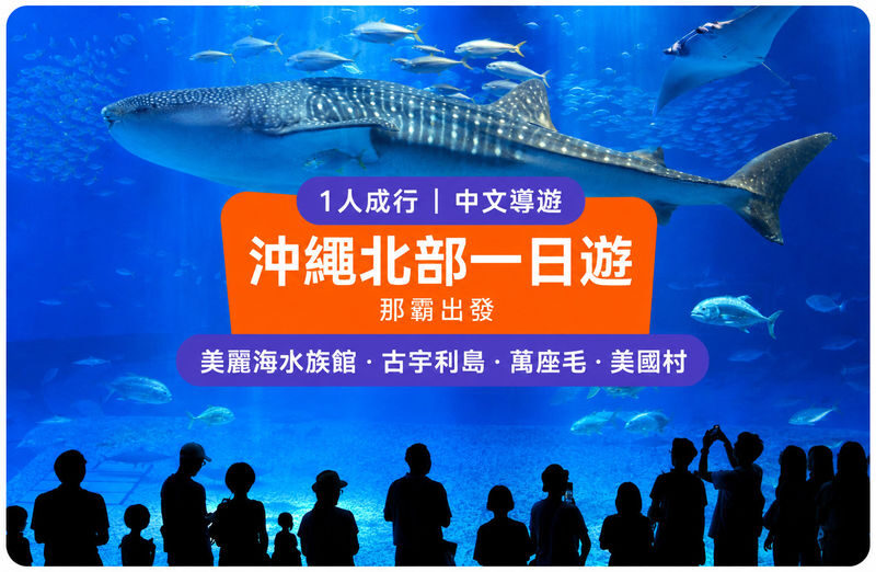 (Okinawas No. 1 Popular Northern Day Trip) Chinese-speaking guide, Includes admission tickets, 1 person can book: Churaumi Aquarium, Cape Manzamo, Kouri Island, American Village - The short version
