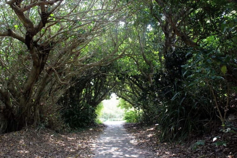 Okinawa: Sacred Island Tour to Kudakas Ryukyuan Holy Sites - Good To Know