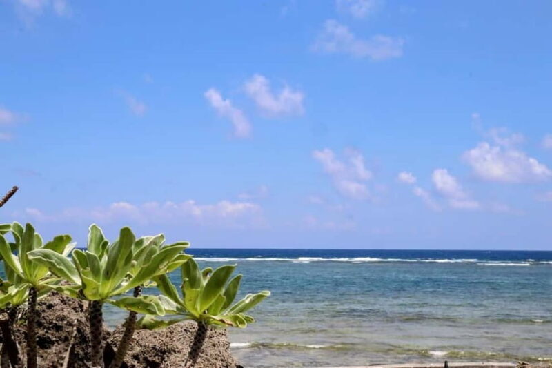 Okinawa: Sacred Island Tour to Kudakas Ryukyuan Holy Sites - Practical Details