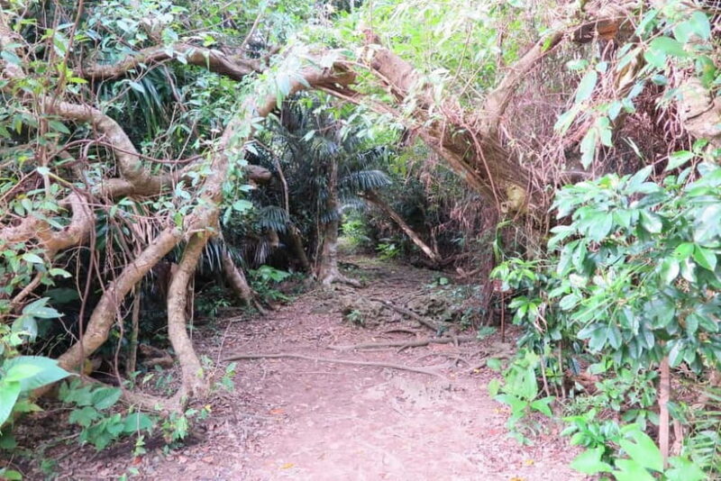 Okinawa: Sacred Island Tour to Kudakas Ryukyuan Holy Sites - What to Expect from the Kudaka Island Sacred Tour