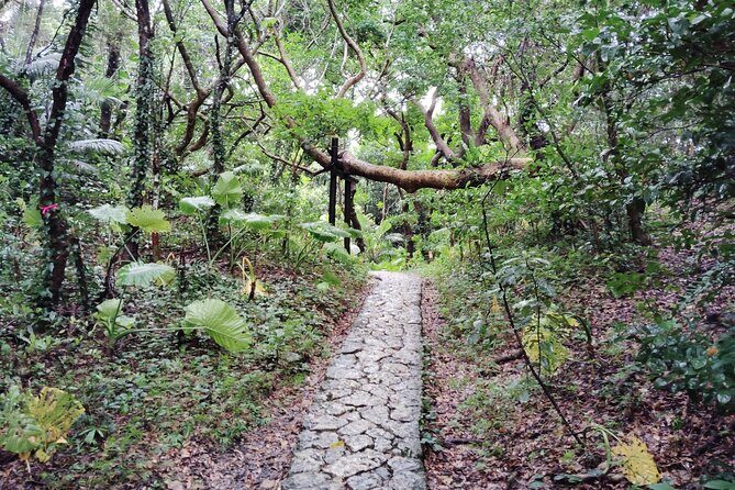 Okinawa: Sacred Sefa Utaki Walk into Ryukyus Spiritual - Exploring the Itinerary in Detail
