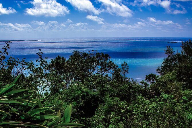 Okinawa: Sacred Sefa Utaki Walk into Ryukyus Spiritual - Good To Know