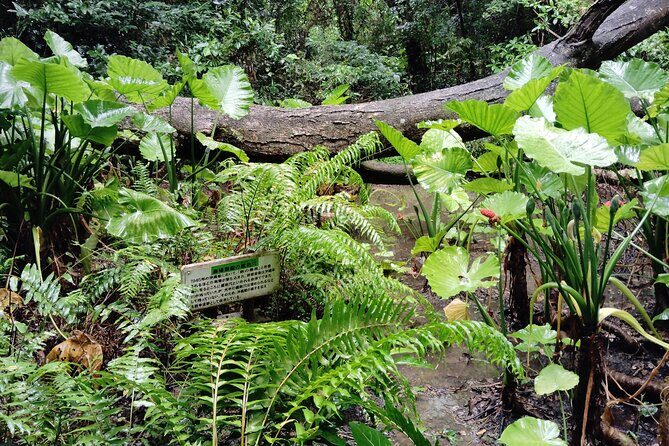 Okinawa: Sacred Sefa Utaki Walk into Ryukyus Spiritual - FAQs