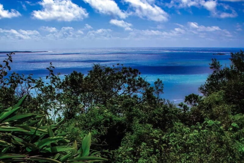 Okinawa: Sacred Sefa Utaki Walk into Ryukyus Spiritual - Good To Know